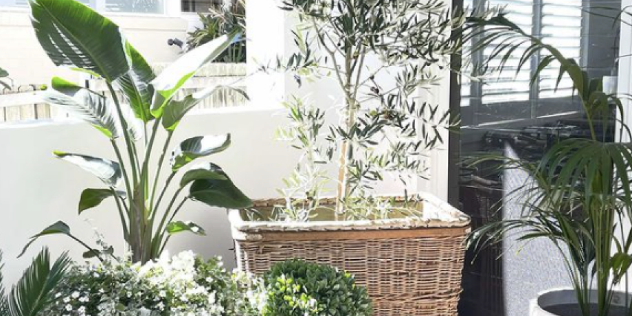 A fresh transformation for a historic home in a costal town